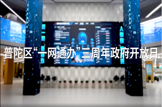 普陀区“一网通办”三周年政府开放日