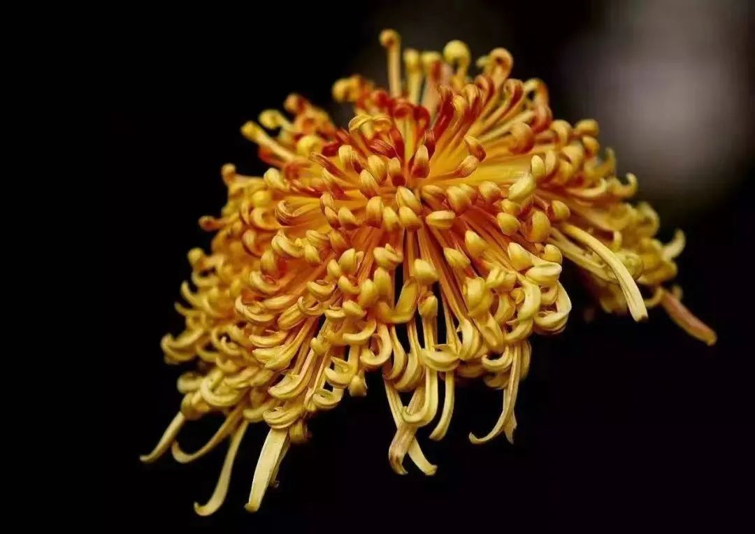 0609_144847_143.jpg 11.jpg