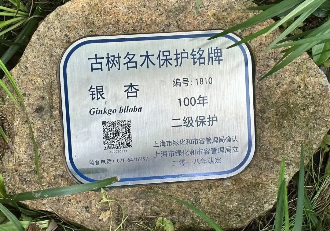 0727_134531_886.jpg 0727_134531_886.jpg