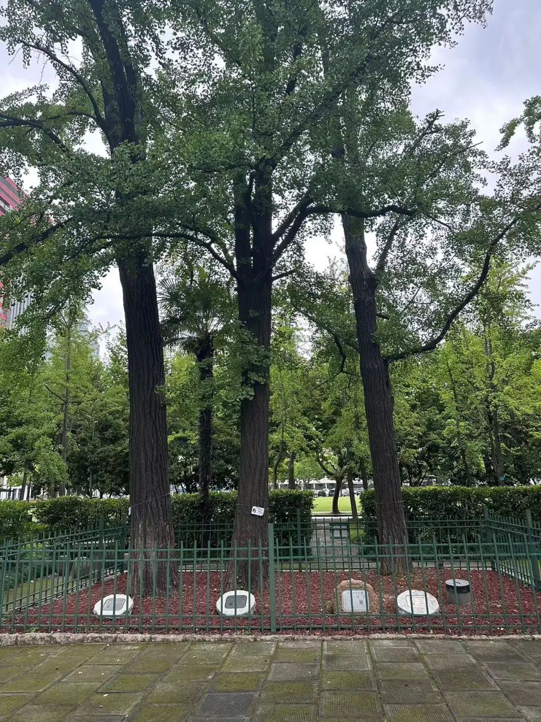 0727_134359_293.jpg 0727_134359_293.jpg