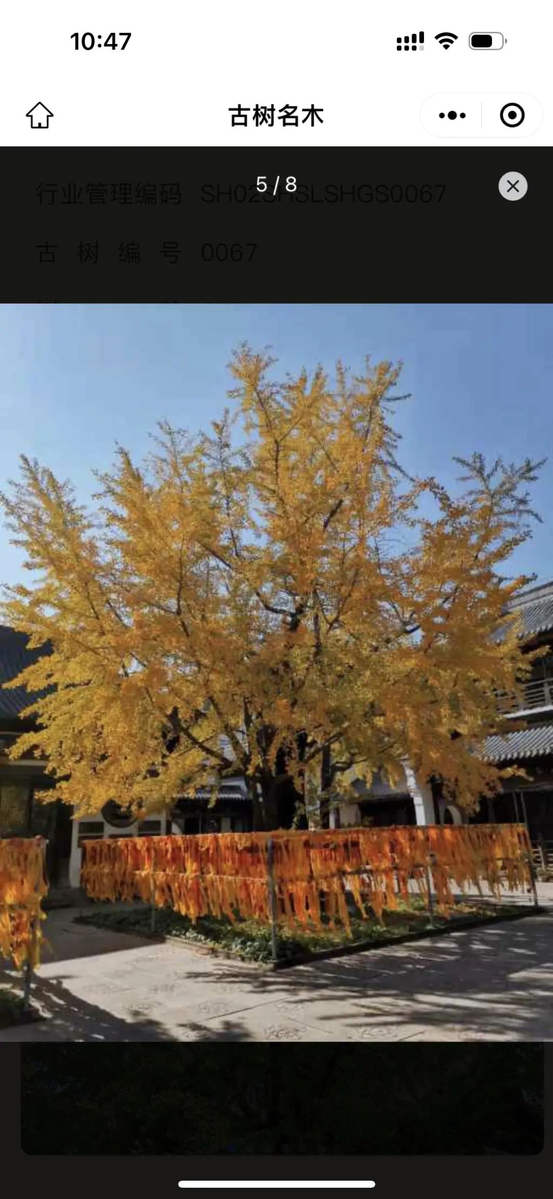 0727_141940_824.jpg 0727_141940_824.jpg