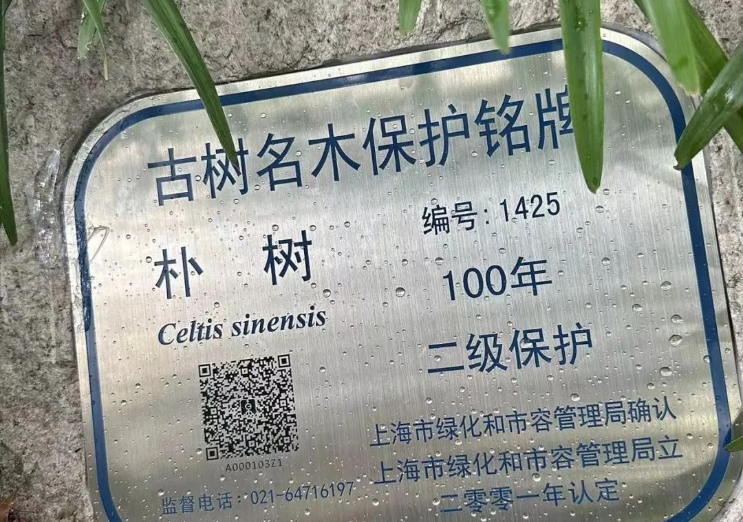 0727_134526_863.jpg 0727_134526_863.jpg