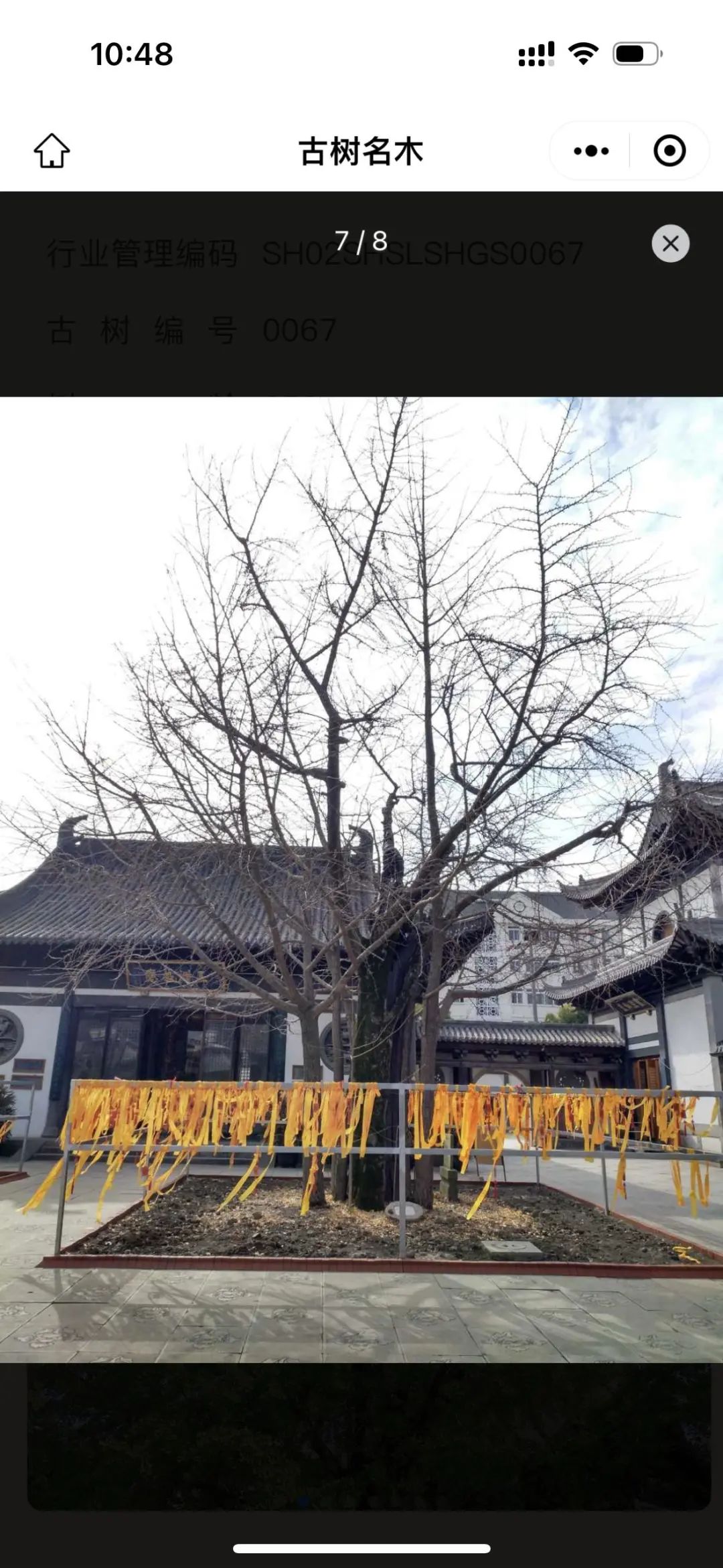 0727_141948_852.jpg 0727_141948_852.jpg