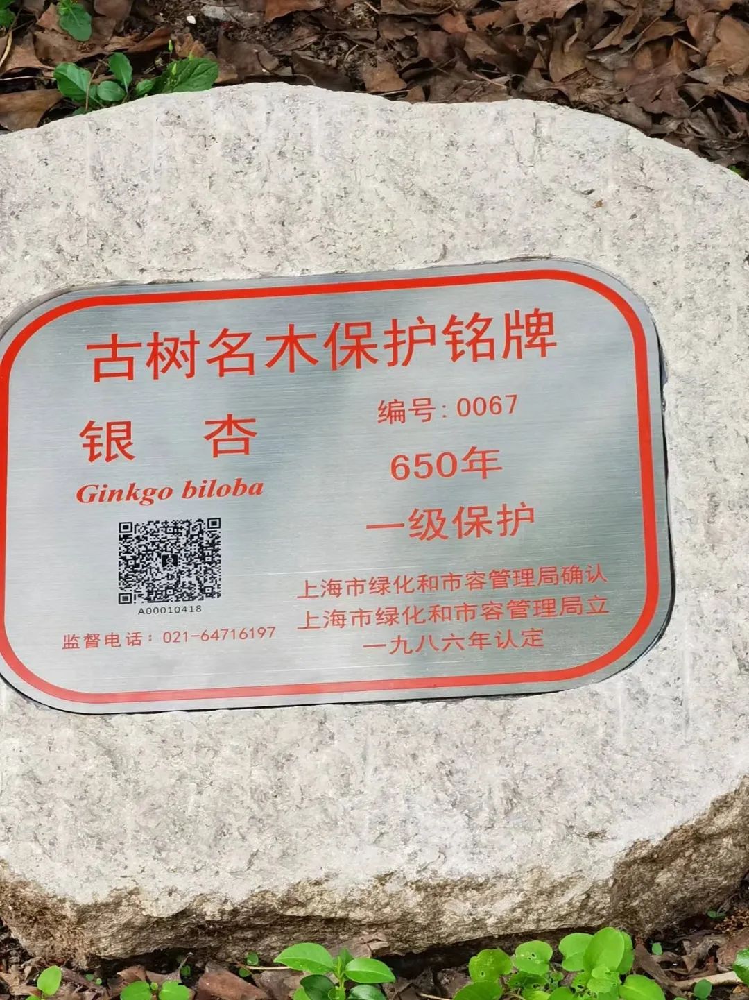 0727_134618_560.jpg 0727_134618_560.jpg