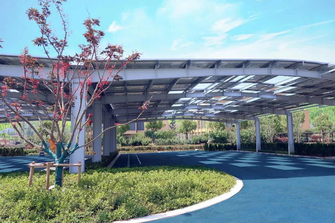 1122_131500_138.jpg 1122_131500_138.jpg