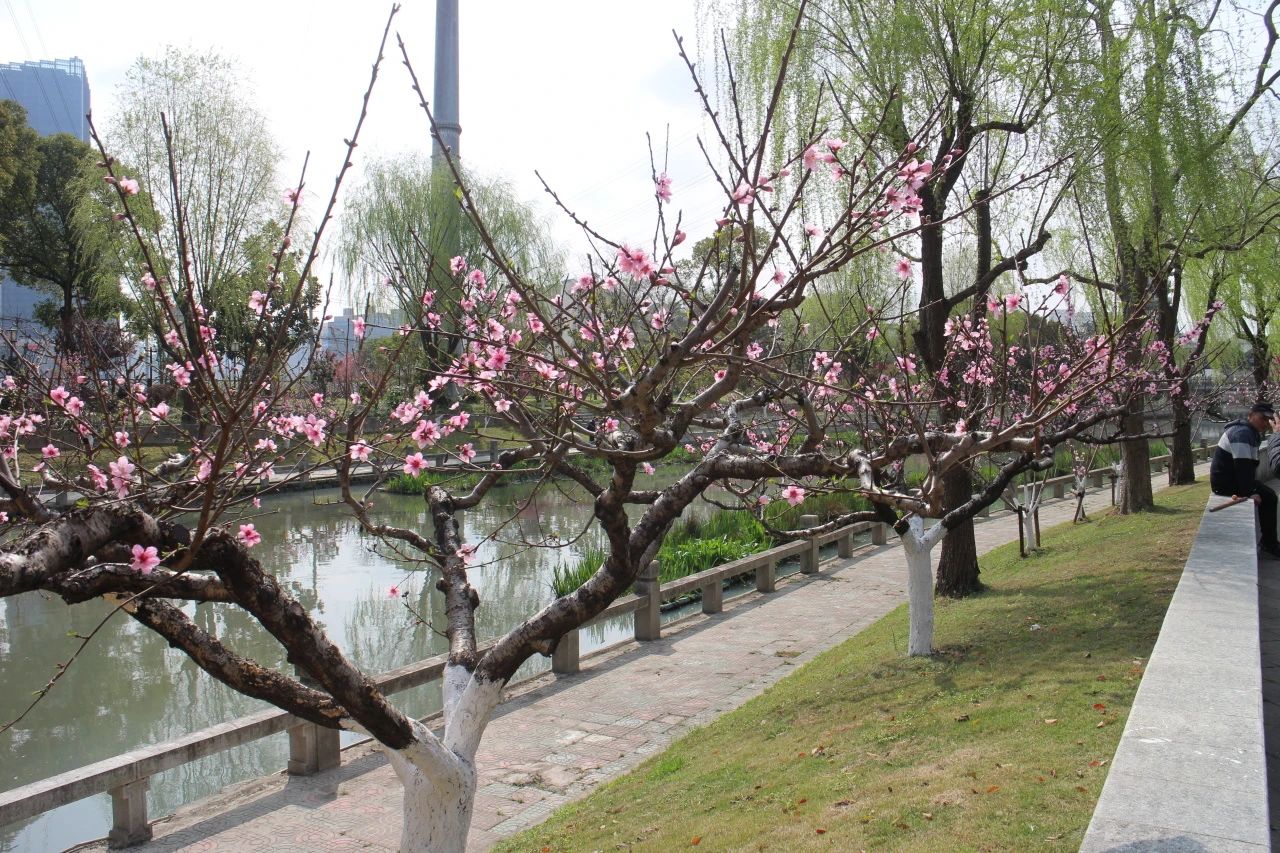 0407_084545_807.jpg 0407_084545_807.jpg