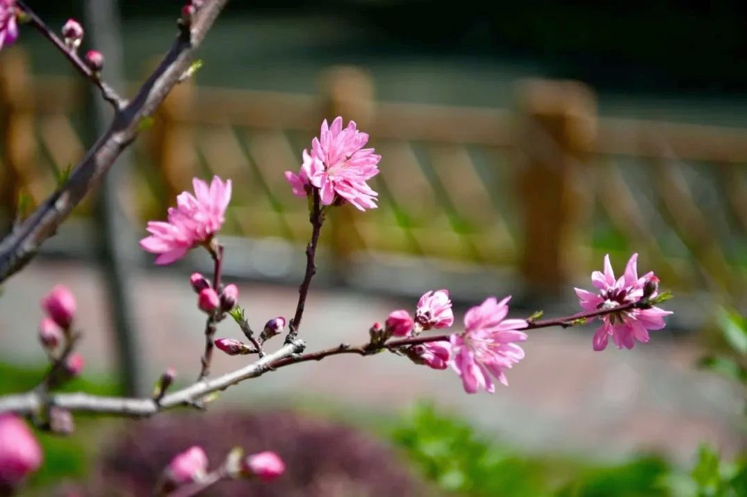 0407_084218_298.jpg 0407_084218_298.jpg