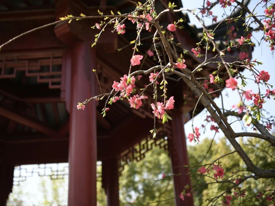 0407_084439_152.jpg 0407_084439_152.jpg