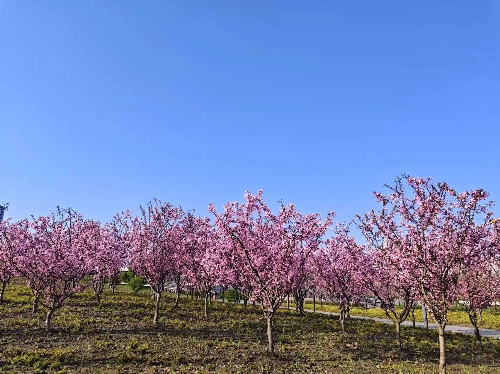 0407_084627_689.jpg 0407_084627_689.jpg