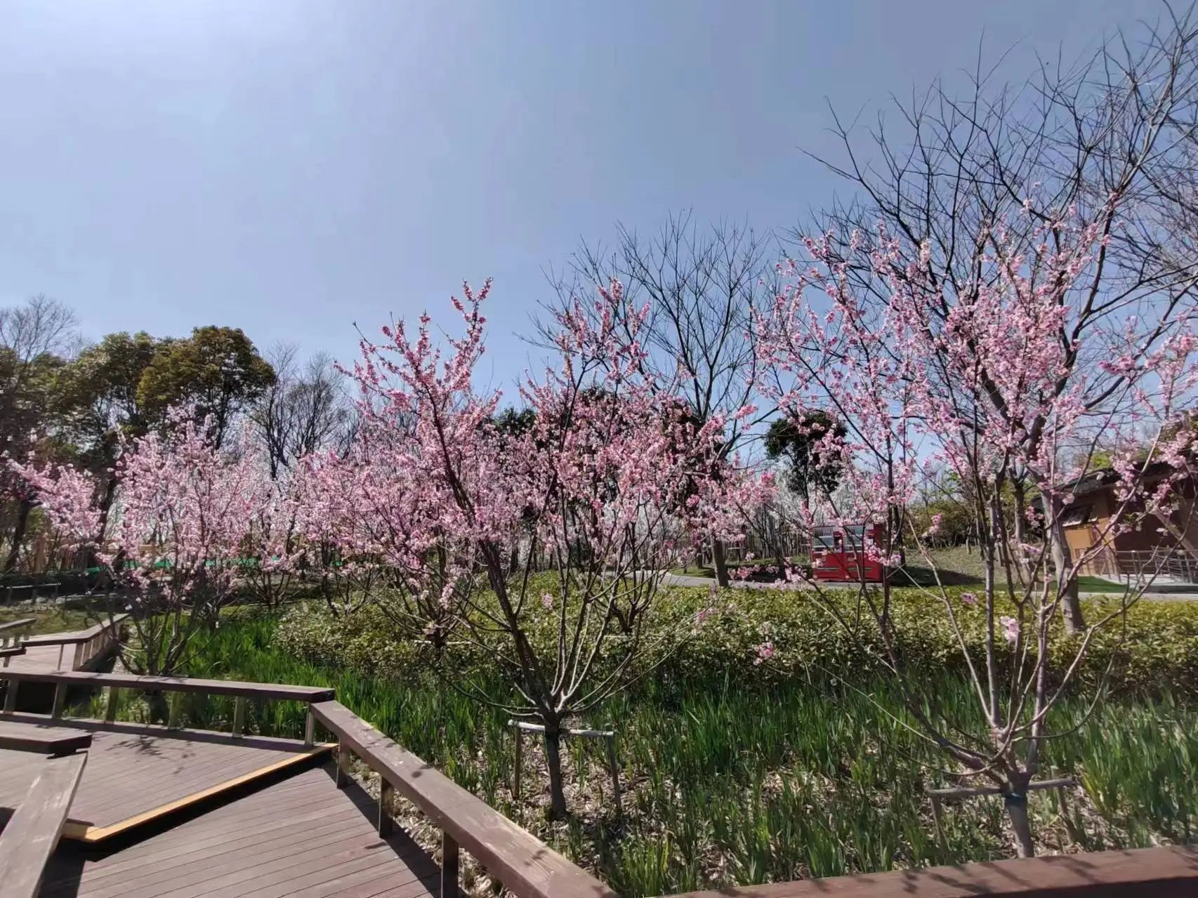 0407_084732_474.jpg 0407_084732_474.jpg