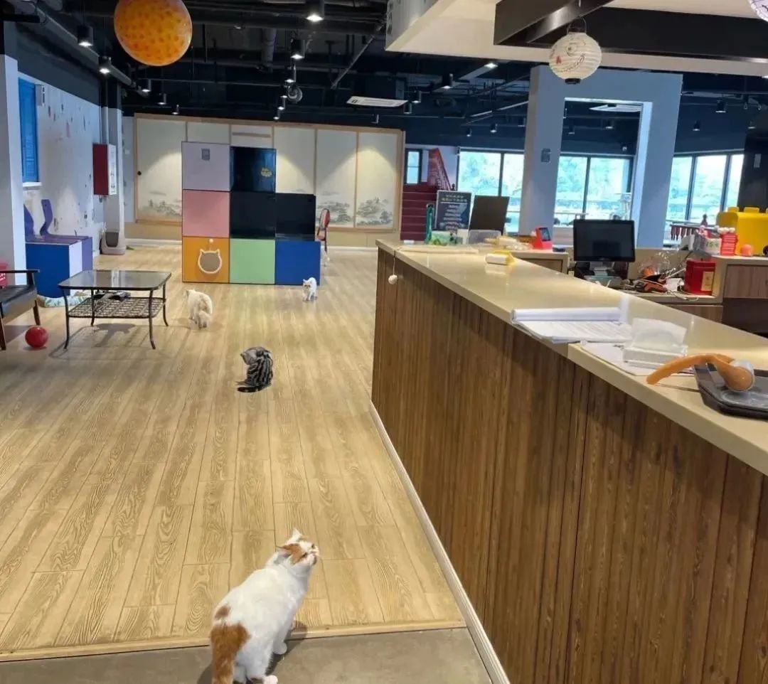 0128_144544_206.jpg 微信图片_20230128113259.jpg