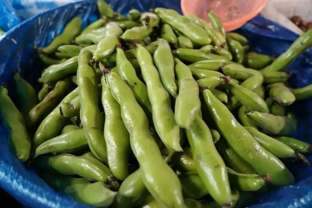 0220_125116_185.jpg 微信图片_20230220122432.jpg