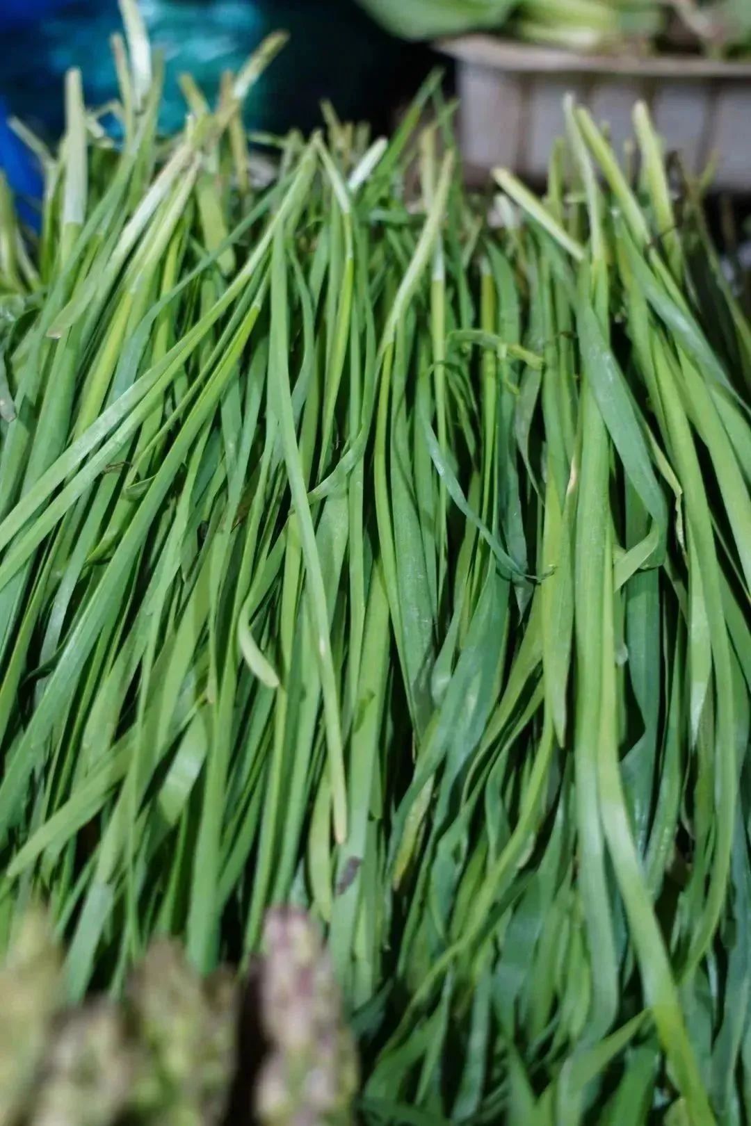 0220_125046_437.jpg 微信图片_20230220122427.jpg