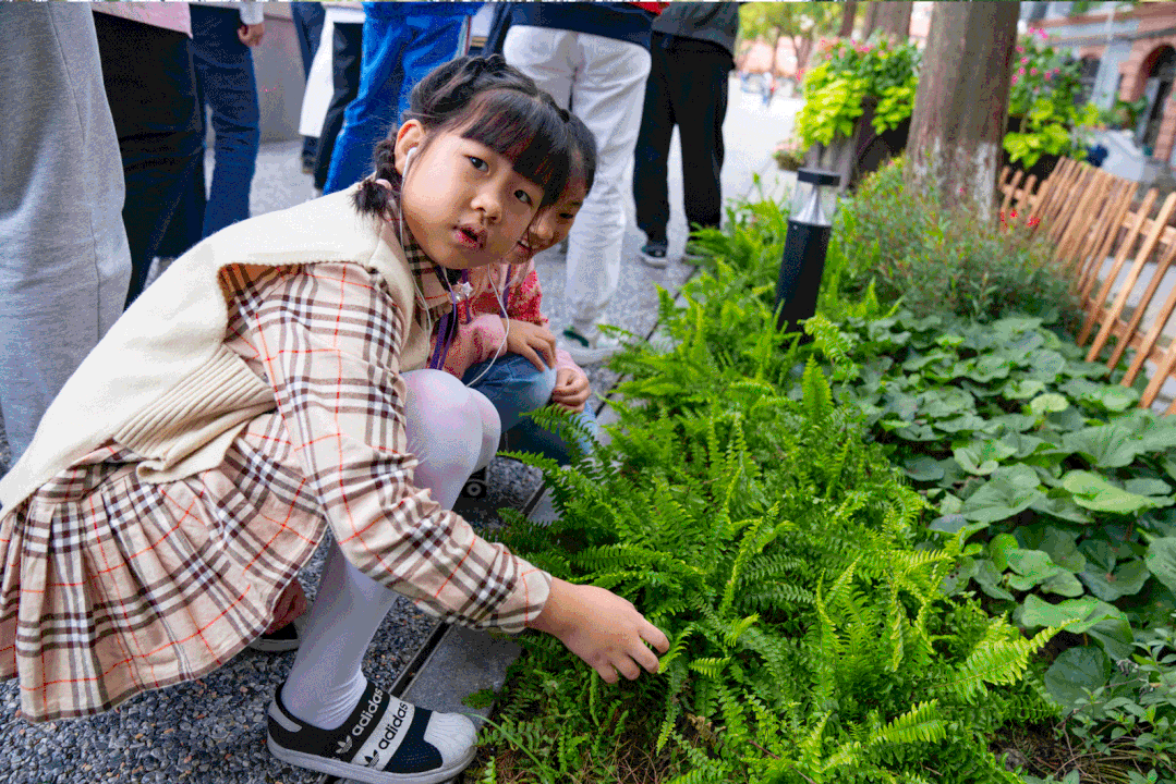 0216_172731_442.png 0216_172731_442.png