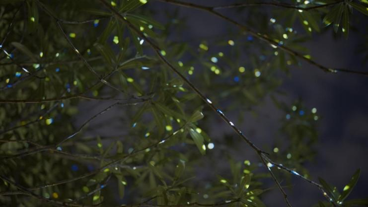 0228_151924_490.png 0228_151924_490.png