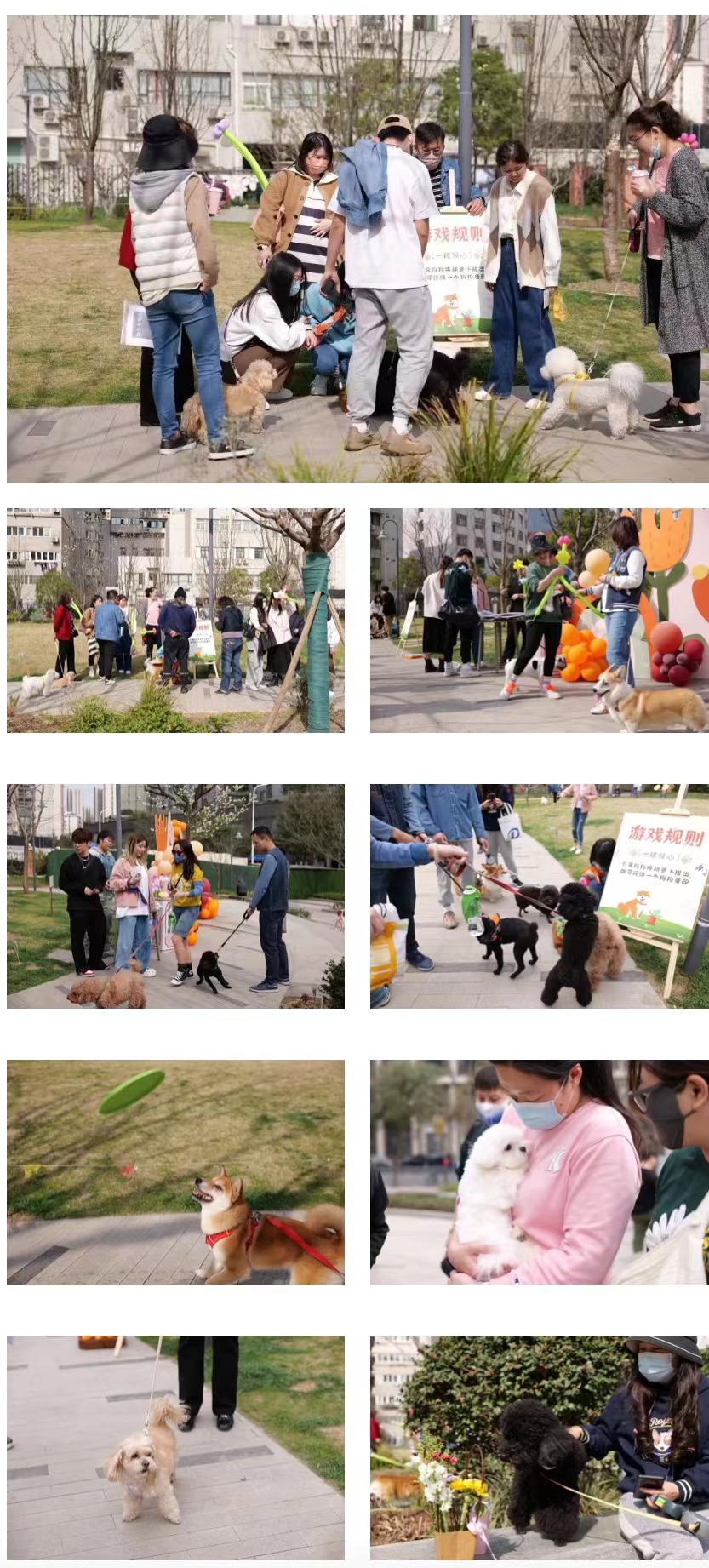 0313_173710_807.jpg 0313_173710_807.jpg