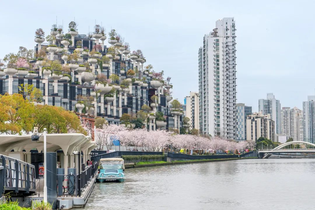 0403_182053_913.png 0403_182053_913.png