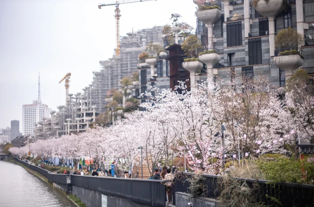 0403_182030_739.png 0403_182030_739.png