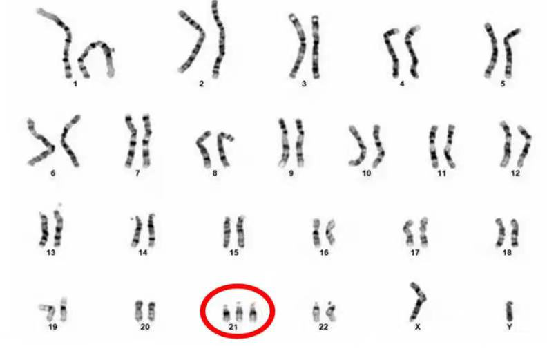 0406_181203_718.png 0406_181203_718.png