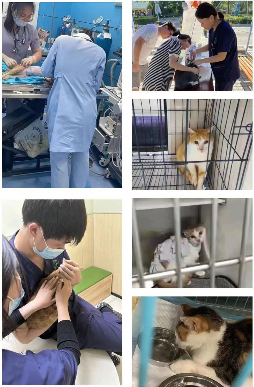 0518_172829_543.jpg 0518_172829_543.jpg