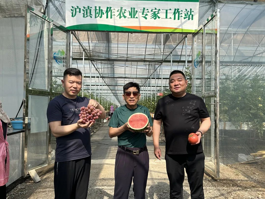 0605_193242_534.png 0605_193242_534.png