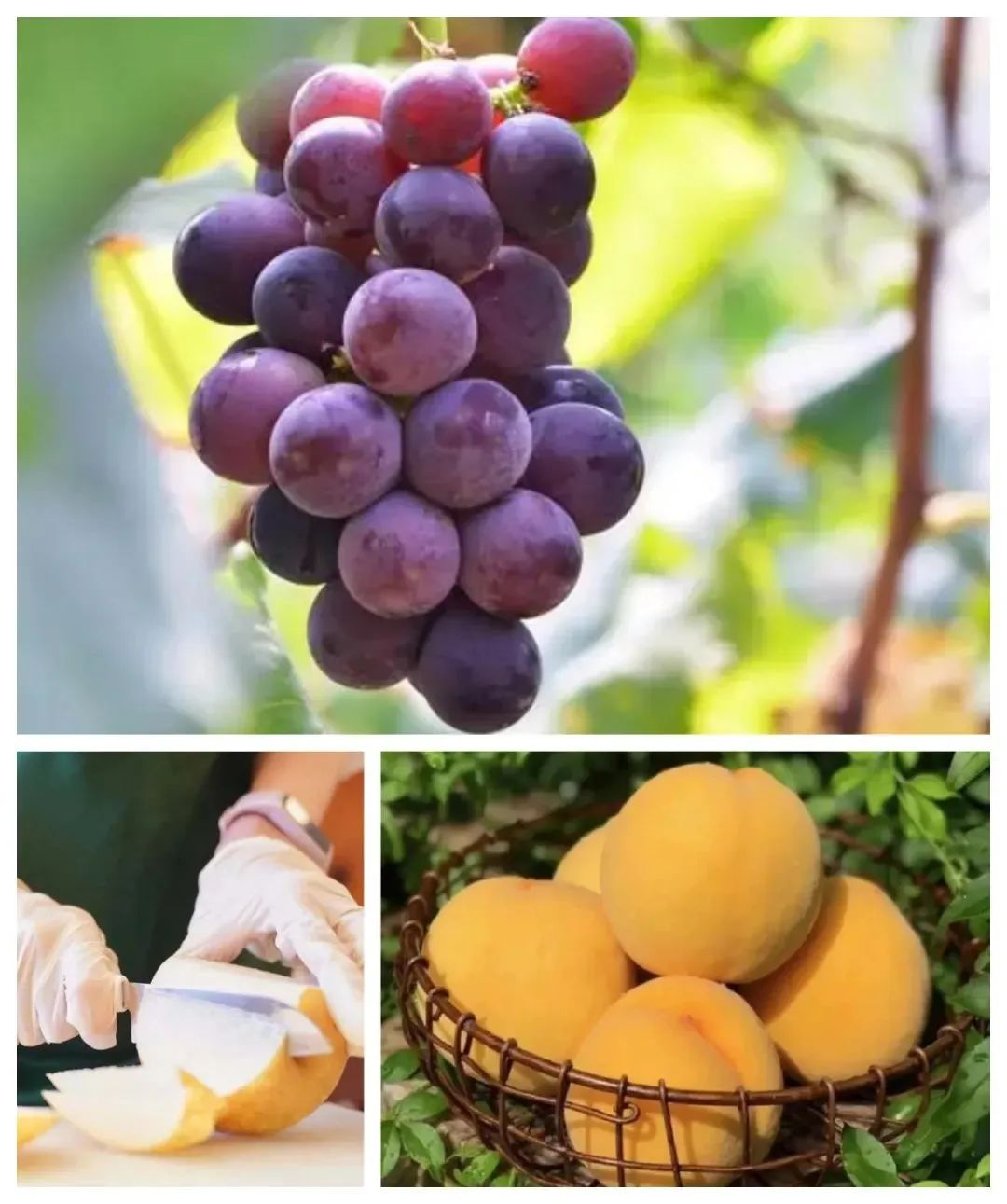 0716_180527_772.png 0716_180527_772.png