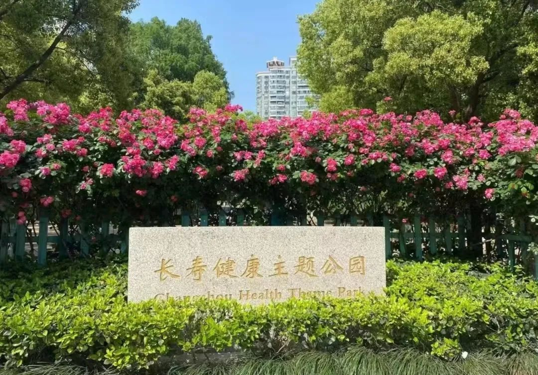 0727_182134_658.png 0727_182134_658.png