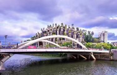 0821_182645_154.jpg 0821_182645_154.jpg