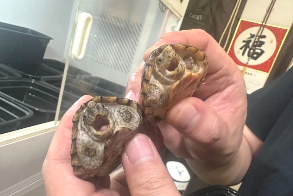 0226_141108_990.png 微信截图_20240226150638.png