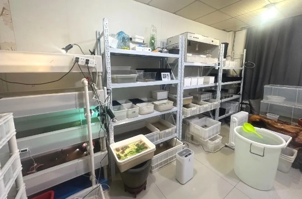 0226_141121_277.png 微信截图_20240226150704.png