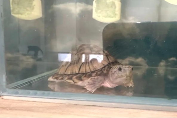 0226_141038_507.png 微信截图_20240226150543.png