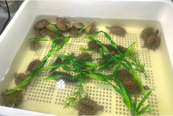 0226_141013_178.png 微信截图_20240226150318.png