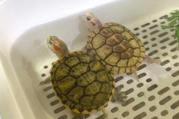 0226_141026_914.png 微信截图_20240226150601.png