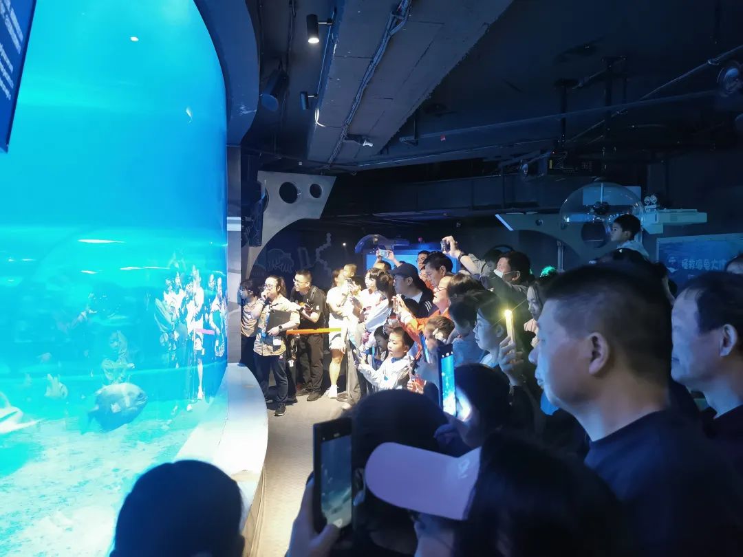 海洋世界 (2).jpg