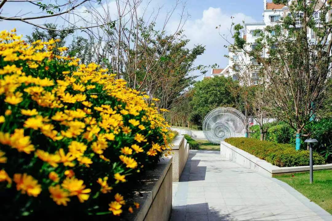 建德地区综合治理