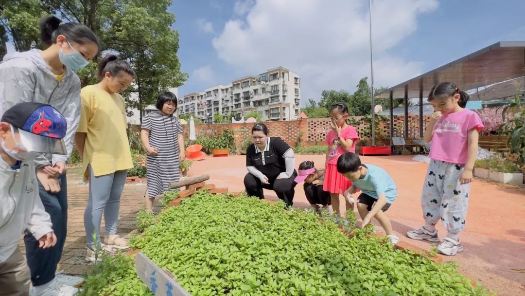 0802_081235_711.jpg 微信图片_20230802090349.jpg