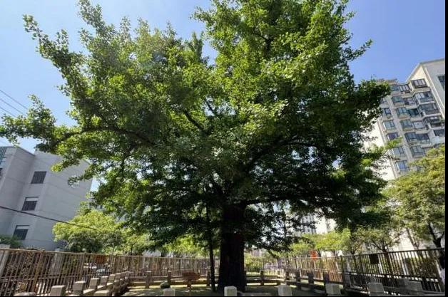 0523_090957_470.jpg 微信图片_20240523100859.jpg