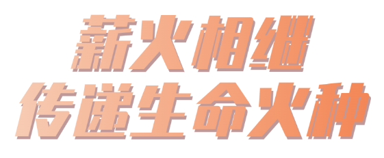 微信图片_2025-02-13_081706_486.png