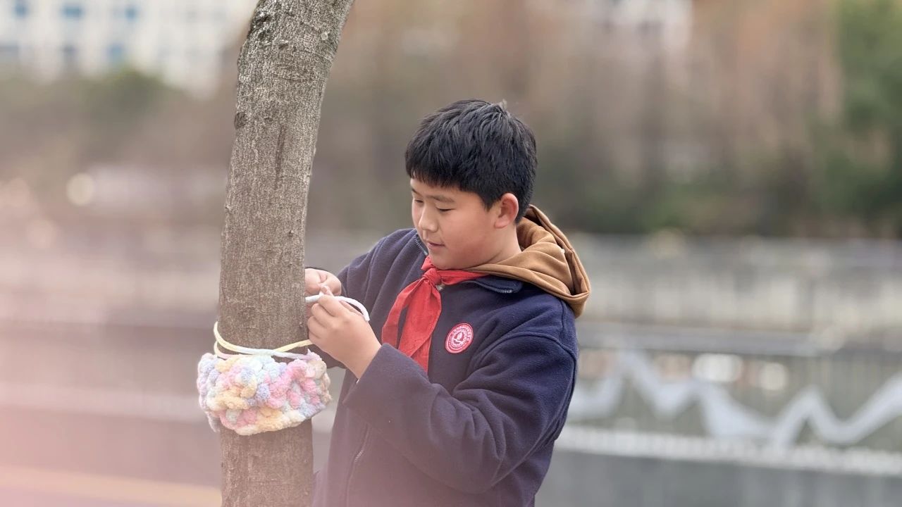 微信图片_2025-03-06_155823_523.png 微信图片_2025-03-06_155823_523.png