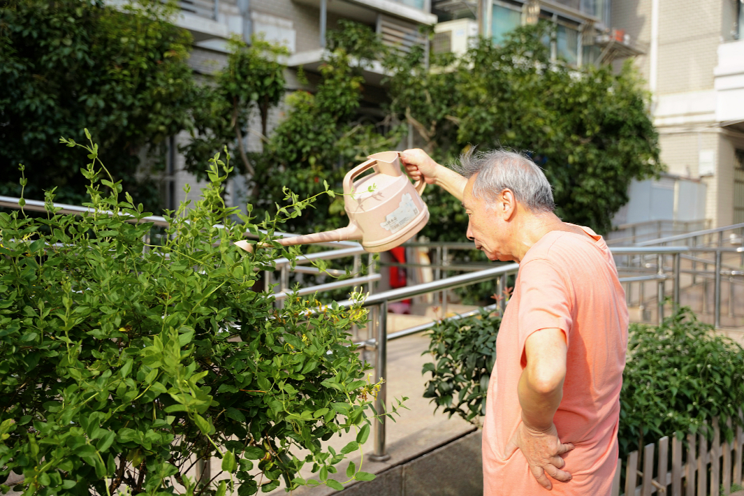 微信图片_20250815100428_2041.jpg 微信图片_20250815100428_2041.jpg