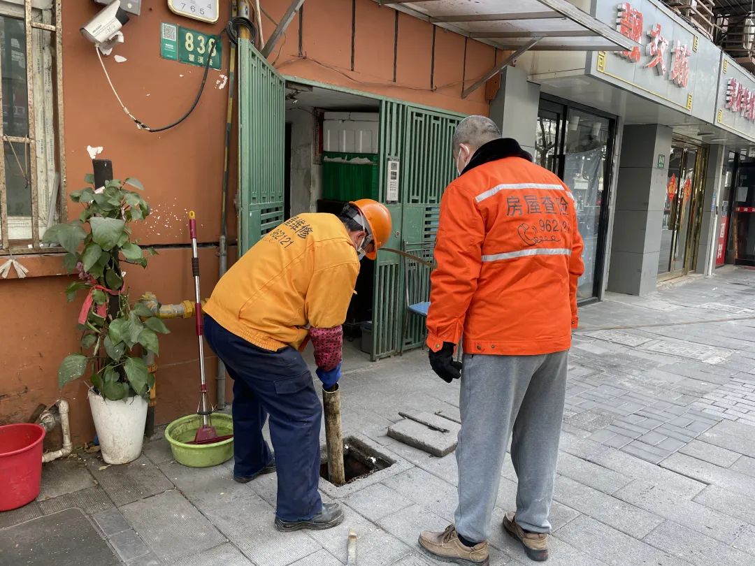 0104_155544_403.jpg 1.3 2.jpg