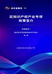 【第五十一期】区知识产权产业专项政策宣介