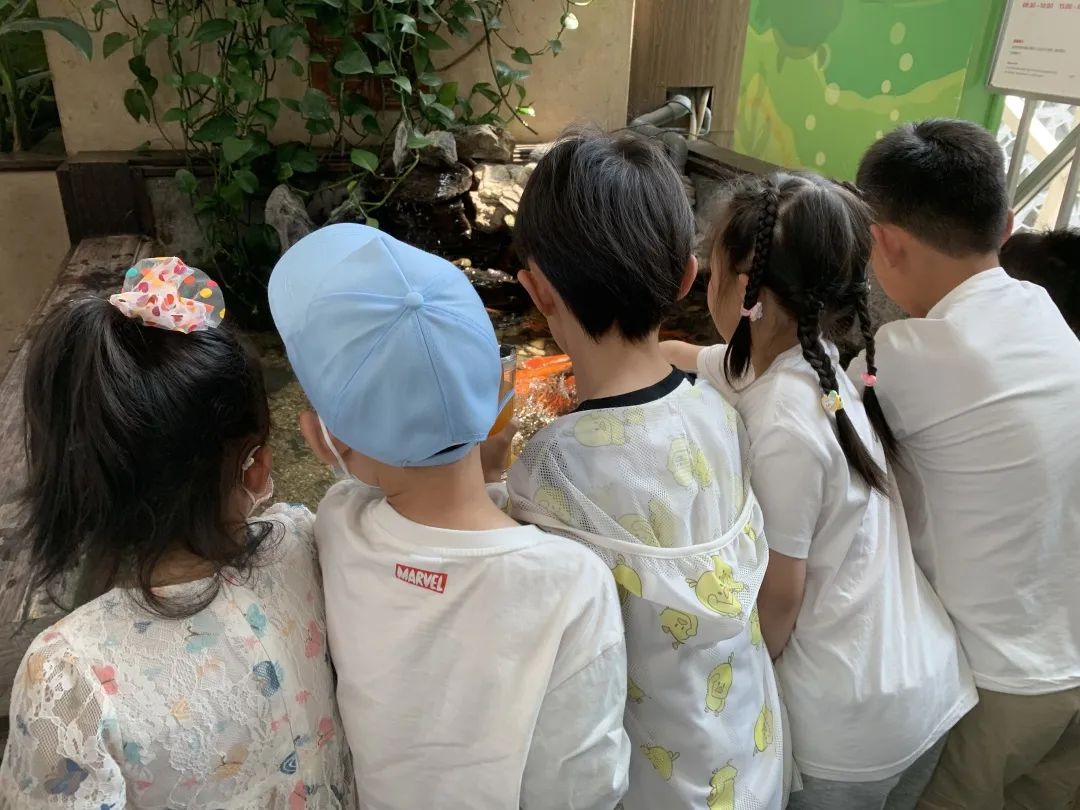 0526_155401_872.jpg 微信图片_20230526164314.jpg