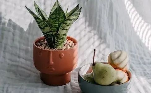 0818_084348_387.jpg 微信图片_20230818093538.jpg