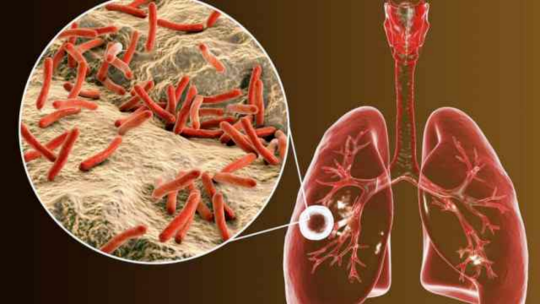 0818_091106_274.png 微信图片_20230818100246.png