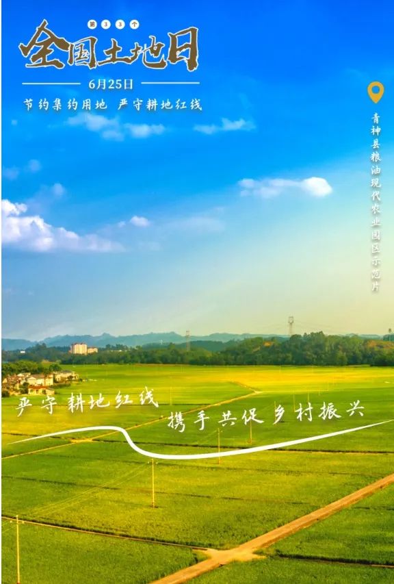 0627_095513_580.jpg P4.jpg