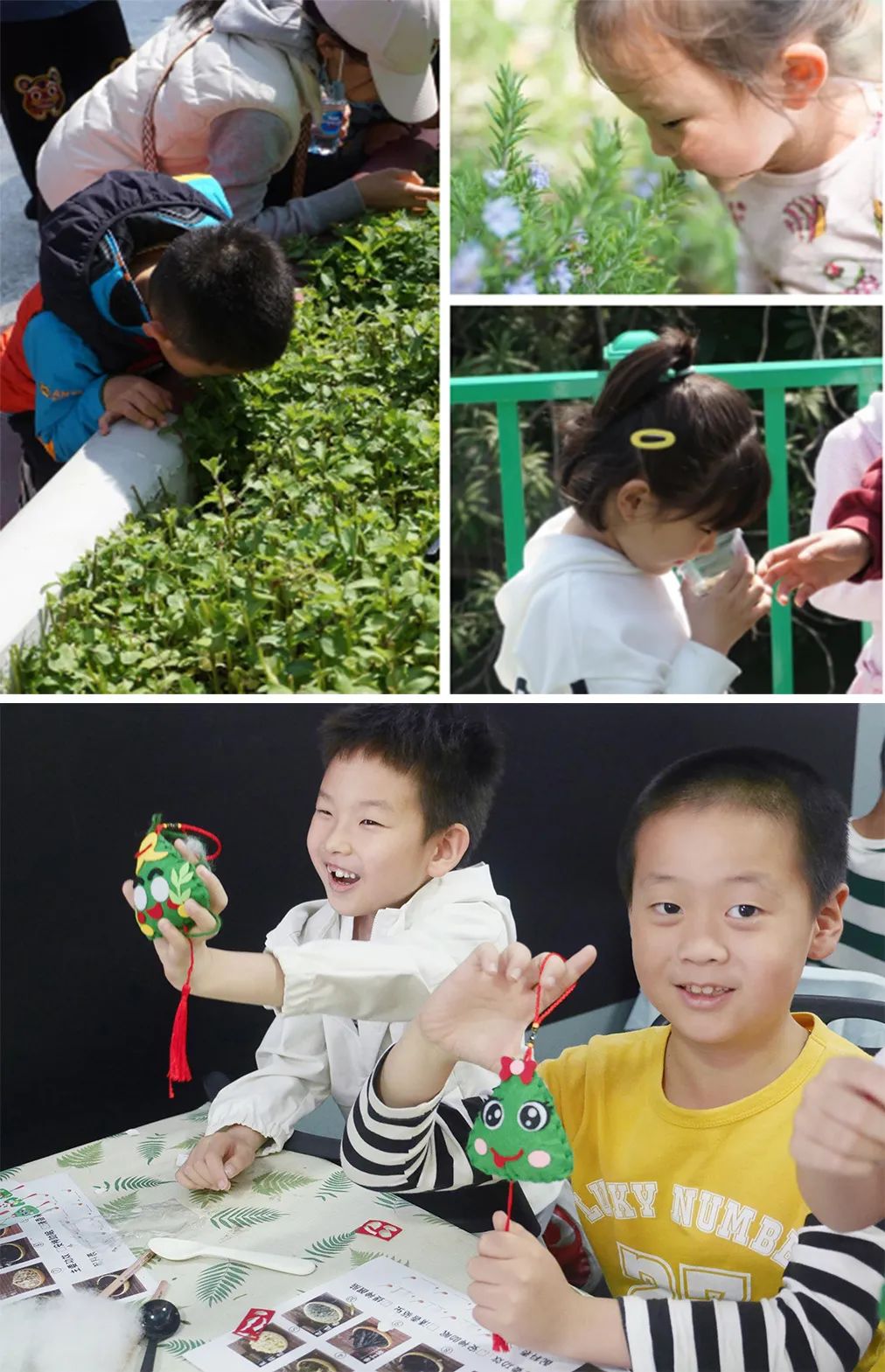 1031_134645_966.jpg P4.jpg