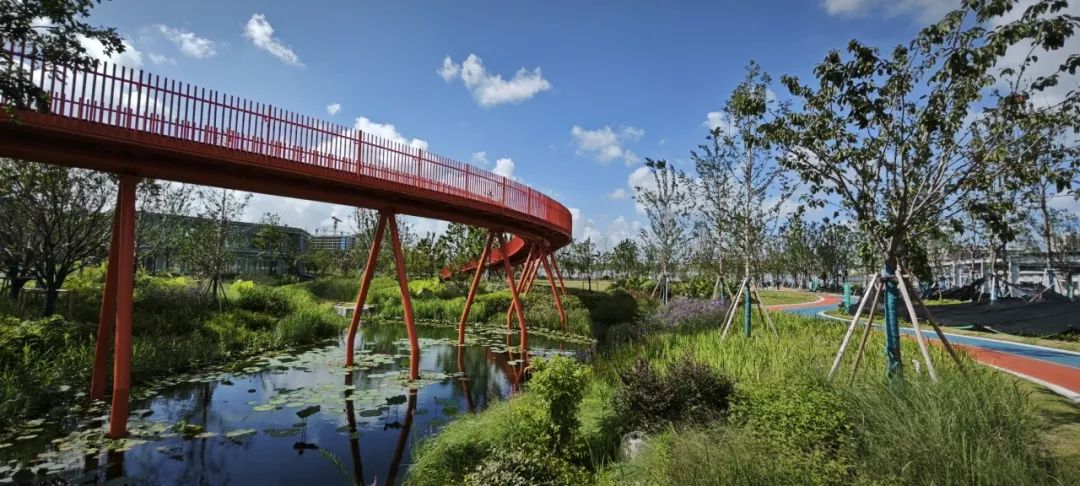 1031_134655_531.jpg P5.jpg