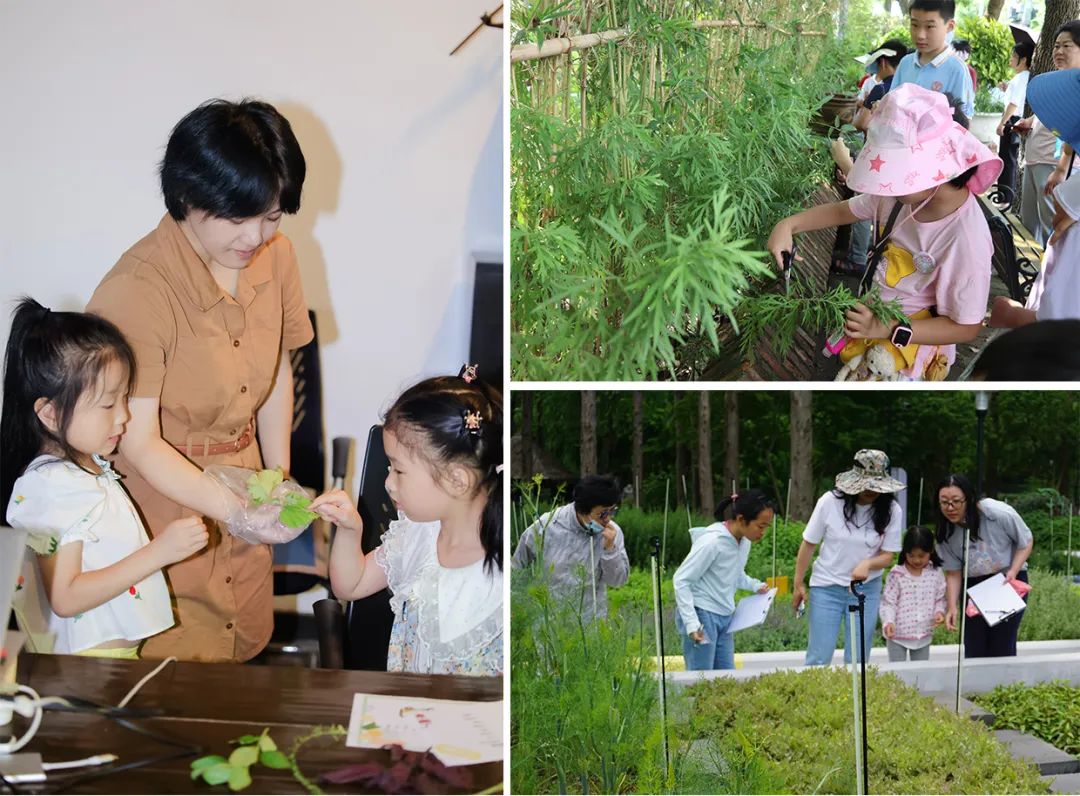 1031_134637_905.jpg P3.jpg