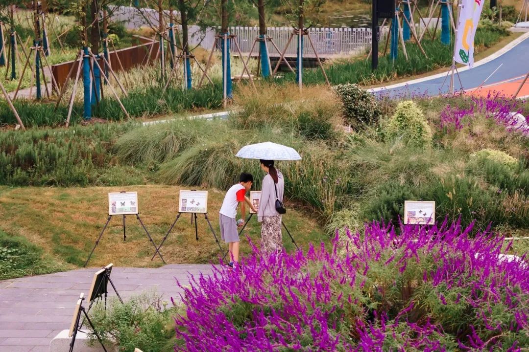 1031_134631_433.jpg P2.jpg